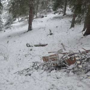 Peste 7.500 de pachete cu țigări, confiscate la frontiera de nord