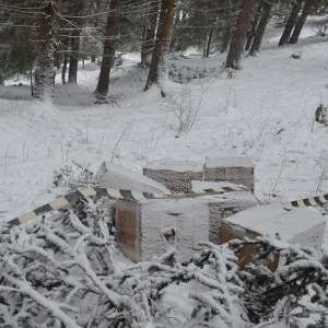 Peste 7.500 de pachete cu țigări, confiscate la frontiera de nord