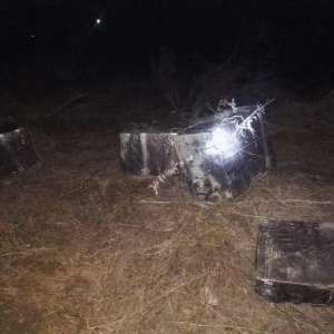 Colete cu țigări de contrabandă transportate cu căruţa, confiscate la frontiera de est