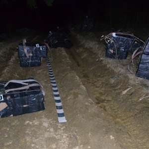 Aproximativ 15.000 de pachete cu ţigări de contrabandă,  confiscate la frontiera de nord