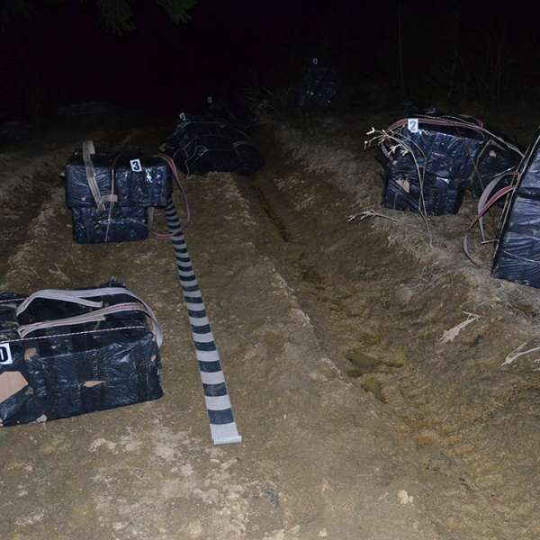Aproximativ 15.000 de pachete cu ţigări de contrabandă, confiscate la frontiera de nord