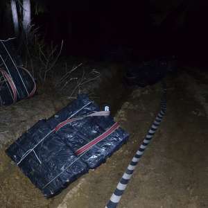 Aproximativ 15.000 de pachete cu ţigări de contrabandă,  confiscate la frontiera de nord