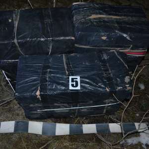 Aproximativ 15.000 de pachete cu ţigări de contrabandă,  confiscate la frontiera de nord