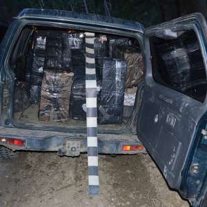 Aproximativ 25.000 de pachete cu ţigări de contrabandă,  confiscate la frontiera de nord