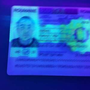 Documente false, descoperite la controlul de frontieră