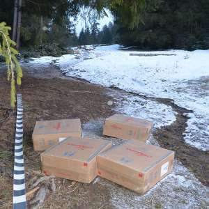 Peste 11.000 pachete cu țigări confiscate la frontiera de nord