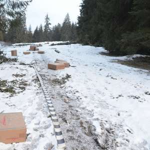 Peste 11.000 pachete cu țigări confiscate la frontiera de nord