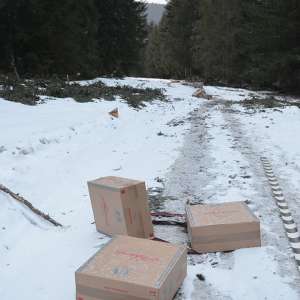 Peste 11.000 pachete cu țigări confiscate la frontiera de nord