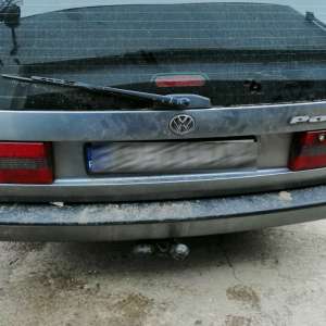 Peşte fără documente legale, descoperit de polițiștii de frontieră gălățeni