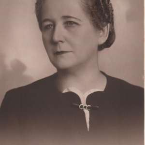 Interviu cu Radu-ștefan Vergatti - profesor universitar, membru titular al Academiei Oamenilor de Știinţă din România