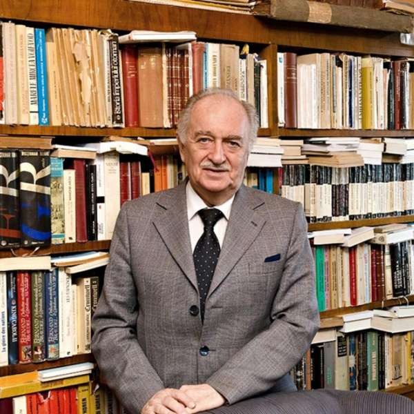 Interviu cu Radu-Ștefan Vergatti - profesor universitar, membru titular al Academiei Oamenilor de Știinţă din România