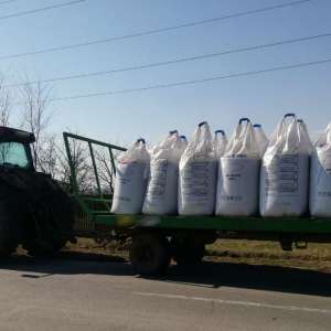 Lucrări penale pentru infracţiuni la regimul circulaţiei, întocmite de poliţiştii de frontieră