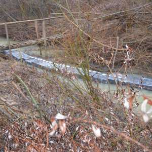 Tutun pentru narghilea şi ţigări de contrabandă, confiscate la frontiera de nord