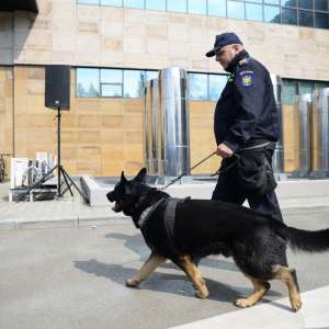 Noi echipamente de ultimă generaţie pentru combaterea contrabandei cu tigări, în dotarea Poliției de Frontieră