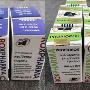 29.850 de comprimate și 20 fiole cu substanţe dopante, descoperite de poliţiştii de frontieră de la P.T.F. Giurgiu