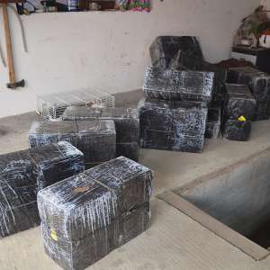 Peste 7.500 pachete cu țigări, confiscate în urma unor percheziții la frontiera de nord