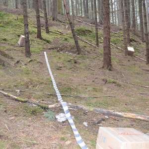 Peste 20.600 pachete cu țigări,confiscate la graniţa cu Ucraina