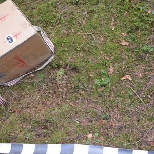 Peste 20.600 pachete cu țigări,confiscate la graniţa cu Ucraina