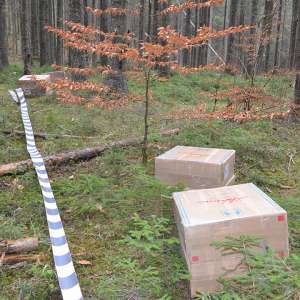 Peste 20.600 pachete cu țigări,confiscate la graniţa cu Ucraina