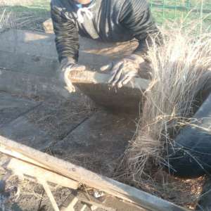 Bunuri furate, recuperate cu ajutorul poliţiştilor de frontieră