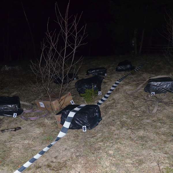 Doi cetățeni români cercetați pentru contrabandă și 16.900 de pachete cu țigări confiscate