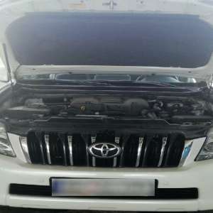 Cartușe de vânătoare descoperite într-un autoturism în Punctul de Trecere a Frontierei Oancea