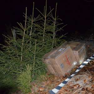 7.500 pachete cu țigări confiscate la frontiera de nord