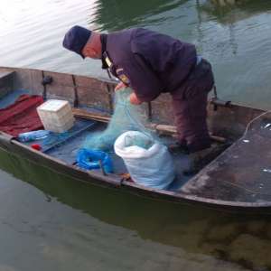 Infracțiuni de braconaj piscicol constatate de polițiștii de frontieră brăileni