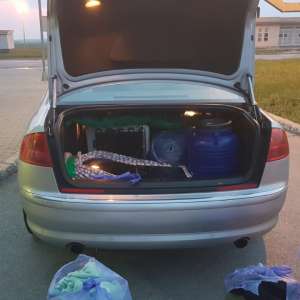 Armă neletală, ascunsă în portbagajul unui autoturism, descoperită în Punctul de Trecere a Frontierei Cenad