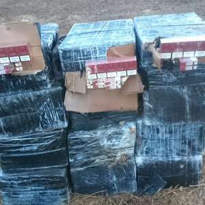 Țigări de contrabandă în valoare de 93.200 lei, confiscate la frontiera de nord a României