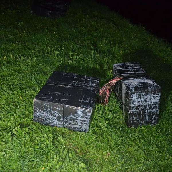 Țigări de contrabandă în valoare de 70.200 lei, confiscate la frontiera de nord a României
