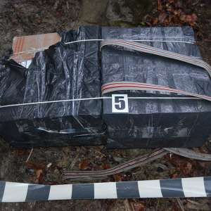 Peste 48.000 de pachete cu ţigări confiscate la frontiera de nord a României