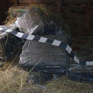 Peste 48.000 de pachete cu ţigări confiscate la frontiera de nord a României