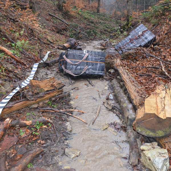 Peste 48.000 de pachete cu ţigări confiscate la frontiera de nord a României
