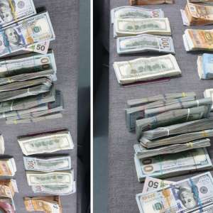 165.000 de dolari și 25.000 de euro descoperiţi de polițiștii de frontieră giurgiuveni