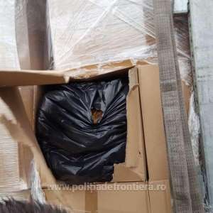 A ton of tobacco, concealed among liquid laundry detergent boxes, was seized in BCP Petea