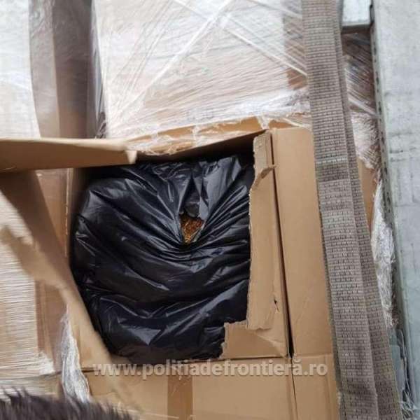 A ton of tobacco, concealed among liquid laundry detergent boxes, was seized in BCP Petea