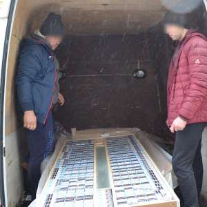 Ţigări de contrabandă ascunse în interiorul unor uşi de pal, confiscate la frontieră