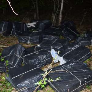 Peste 34.000 pachete de ţigări confiscate la frontiera de nord