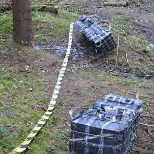Peste 7.000 de pachete cu țigări de contrabandă, confiscate la frontiera de nord