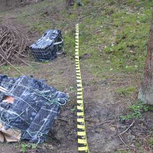 Peste 7.000 de pachete cu țigări de contrabandă, confiscate la frontiera de nord