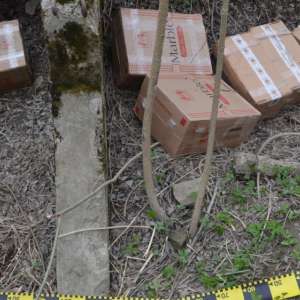 Aproximativ 40.000 pachete cu țigări de contrabandă,  depistate la frontiera de nord