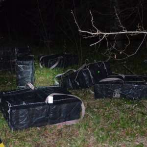 Aproximativ 40.000 pachete cu țigări de contrabandă,  depistate la frontiera de nord
