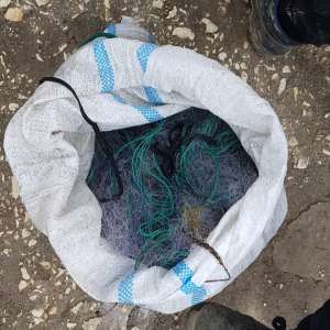 Plase de pescuit și aproximativ 100 kg de peşte fără documente legale, confiscate de poliţiştii de frontieră