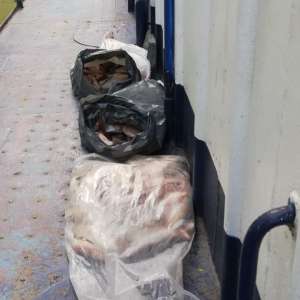 Plase de pescuit și aproximativ 100 kg de peşte fără documente legale, confiscate de poliţiştii de frontieră