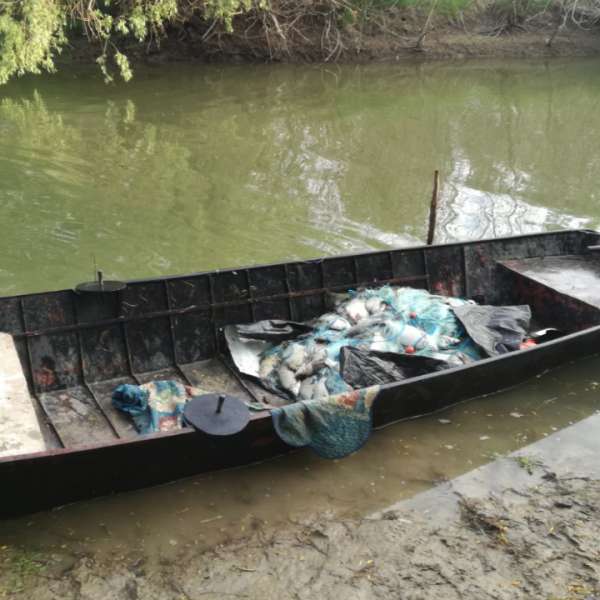 Infracțiuni de braconaj piscicol constatate de polițiștii de frontieră brăileni