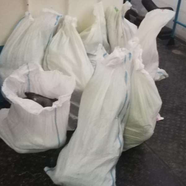 160 kilograme de peşte, confiscate de polițiștii de frontieră