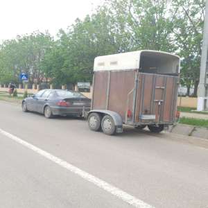 Infracțiuni la regimul circulației rutiere depistate de polițiștii de frontieră