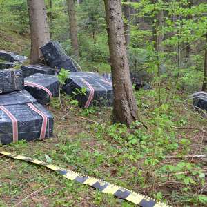 Peste 36.000 pachete cu țigări confiscate la frontiera de nord