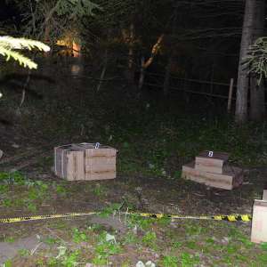 Peste 36.000 pachete cu țigări confiscate la frontiera de nord